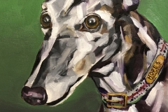 Greyhound